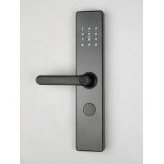 Входной электронный замок Visit-Lock -TTL 771 с возможностью удаленной смены паролей (цвет черный)