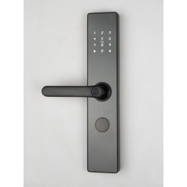 Входной электронный замок Visit-Lock -TTL 771 с возможностью удаленной смены паролей (цвет черный)